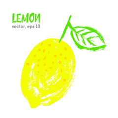 Sketched fruit illustration of lemon. Hand drawn brush food ingr