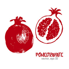 Sketched fruit illustration of pomegranate. Hand drawn brush foo