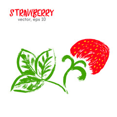 Sketched fruit illustration of strawberry. Hand drawn brush food