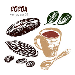 Sketched illustration of cocoa bean. Hand drawn brush food.