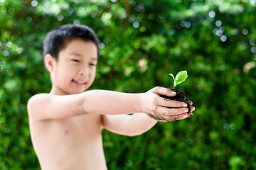 Plant in boy hand