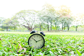 Black alarm clock in the park