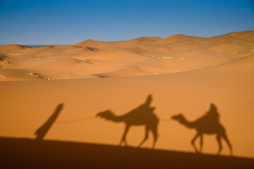 Camel shadows on Sahara Desert sand in Morocco. - 106345521