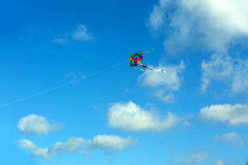 Kite in blue sky background