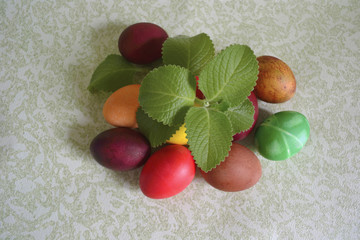 Easter chicken eggs with a sprig of fresh mint