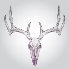 Rolgordijnen Wireframe hipster design deer skull, head © Graphicroyalty