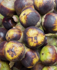 Palmyra palm, Toddy palm, Sugar palm .