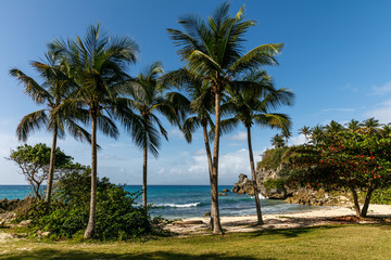 Fototapeta na wymiar Guadeloupe, Asne de Vinaigri, plage