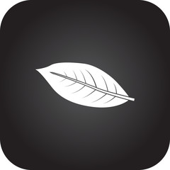 Coffee leaf simple icon on square background
