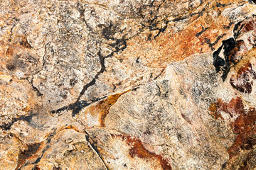 Stone Texture