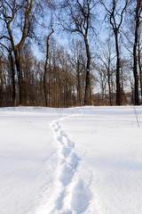 path in the snow 