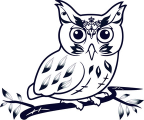 Fototapeta premium owl