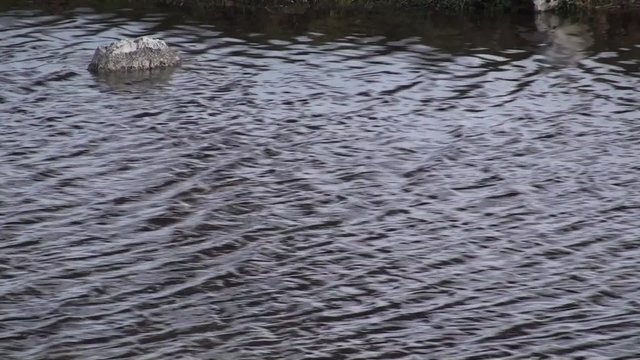 Vallefiorita parco nazionale AbruzzoLazio Molise