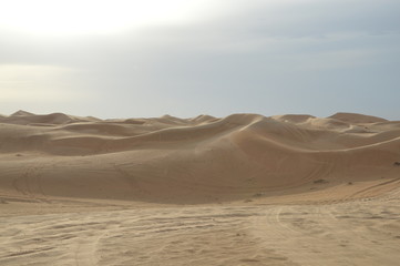 Fototapeta na wymiar desert excursion