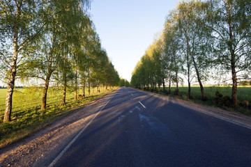 Fototapeta premium asphalt road , spring