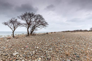 Inhospitable landscape