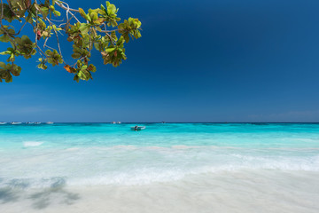 Refreshing tropical beach with blue sky