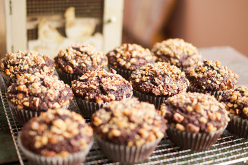 Sweet chocolate muffins with walnuts and coffee