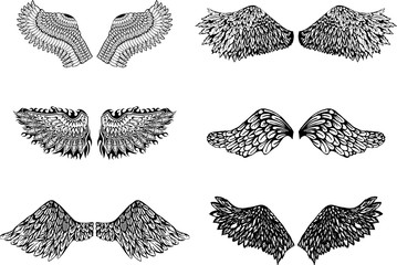 Graphic wings