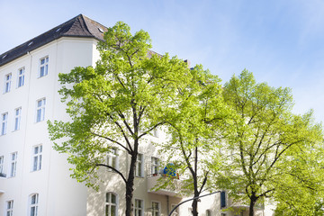 Haus und Bäume, Berlin