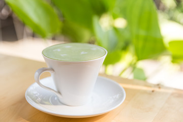 hot green tea latte