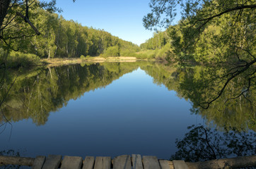 Summer morning