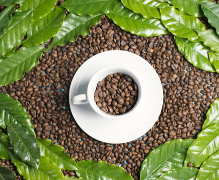 Bandeira do Brasil de gr&atilde;os de caf&eacute;