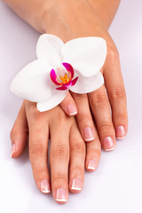 Hands and orchid over isolated white background