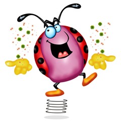 coccinella fortuna bella