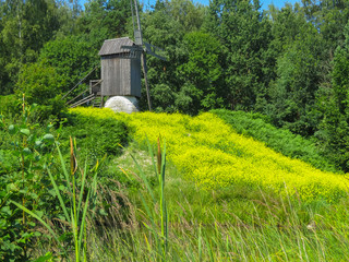 Old windmill in estonian countryside