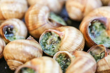 Escargot