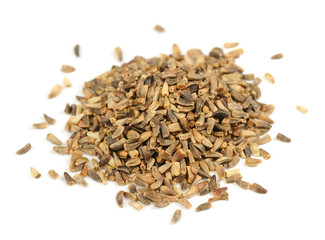 Chicory Seeds Isolated on White Background