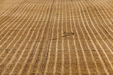 plowed agricultural land  