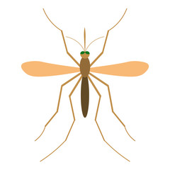 Mosquito vector illustration. Mosquito isolated on white background. Mosquito vector icon illustration. Anopheles Mosquito isolated vector.
