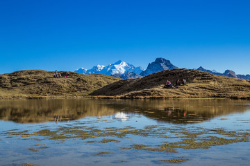 Montagne - Lac de Peyre