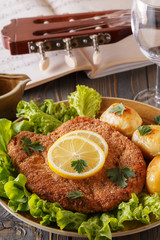 Wiener schnitzel with potatoes and salad.
