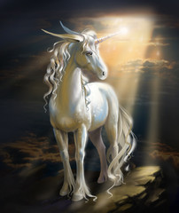 Obraz na płótnie Canvas unicorn