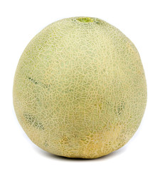 Cantaloupe melon on a white background
