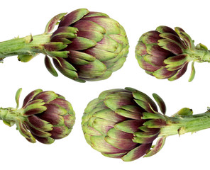 Fototapeta premium Artichokes