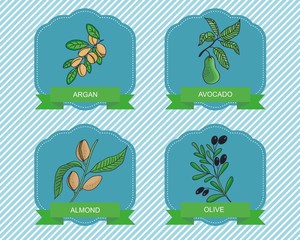 label templates with plants - label templates with plants - olive, argan, almond, avocado Medicinal plants.