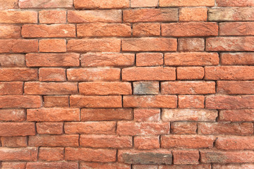 detail of a dated wall in Burano island, Venice