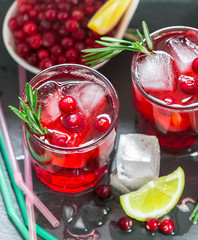 Cranberry lemonade with rosemary and ice. Selective focus