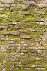 detail of a dated wall in Burano island, Venice