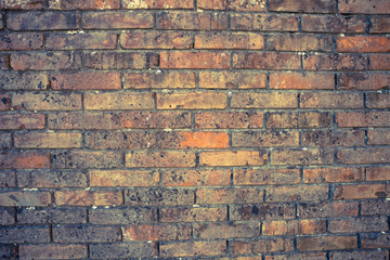 detail of a dated wall in Burano island, Venice (vintage effect)