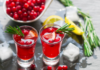 Red cocktail  with fresh cranberries, lemon, rosemary and vodka