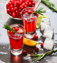 Red cocktail  with fresh cranberries, lemon, rosemary and vodka