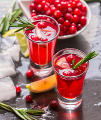 Red cocktail  with fresh cranberries, lemon, rosemary and vodka