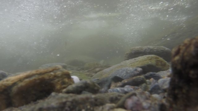 Fast mountain river underwater view