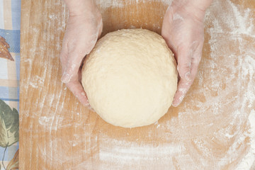 Ball of pizza dough
