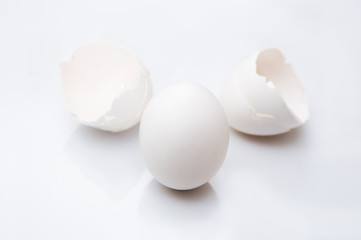 egg and egg shell